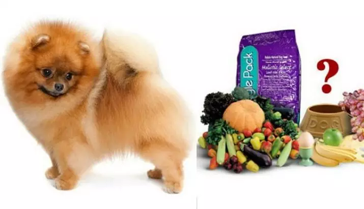 O que alimentar o spitz? Como alimentar um cachorro com idade 1, 2 e 3 meses? É possível maçãs de cães e bananas? Como fazer uma dieta para cães da raça Spitz? 22789_3