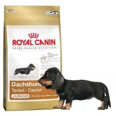 Dwarf Dachshund (49 fotoj): Priskribo de glata-haroj, rigidaj haroj kaj aliaj rasaj specioj, la naturo de miniaturaj hundoj. Mini-daĉaj Pupioj Grandecoj 22824_43