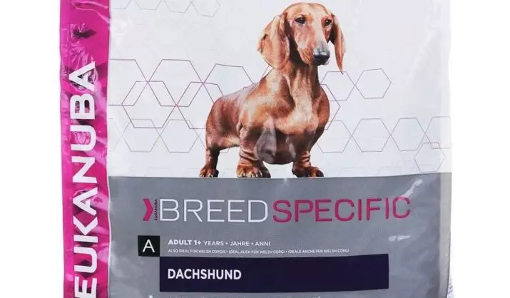 Hardwood Fees (33 bilder): Beskrivning av vanliga valpar, trimning och slipfunktioner. Innehåll Mini-Dachshund hemma 22831_25