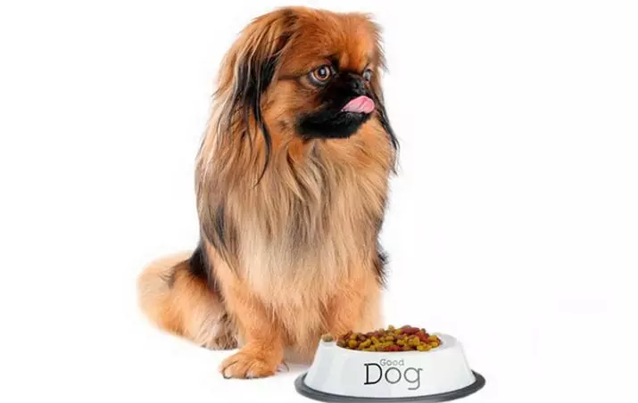 Mit eszik a pekingi? Mit kell táplálni a kölyköket otthon? Felnőtt kutyák táplálása, táplálkozási jellemzők 22842_29