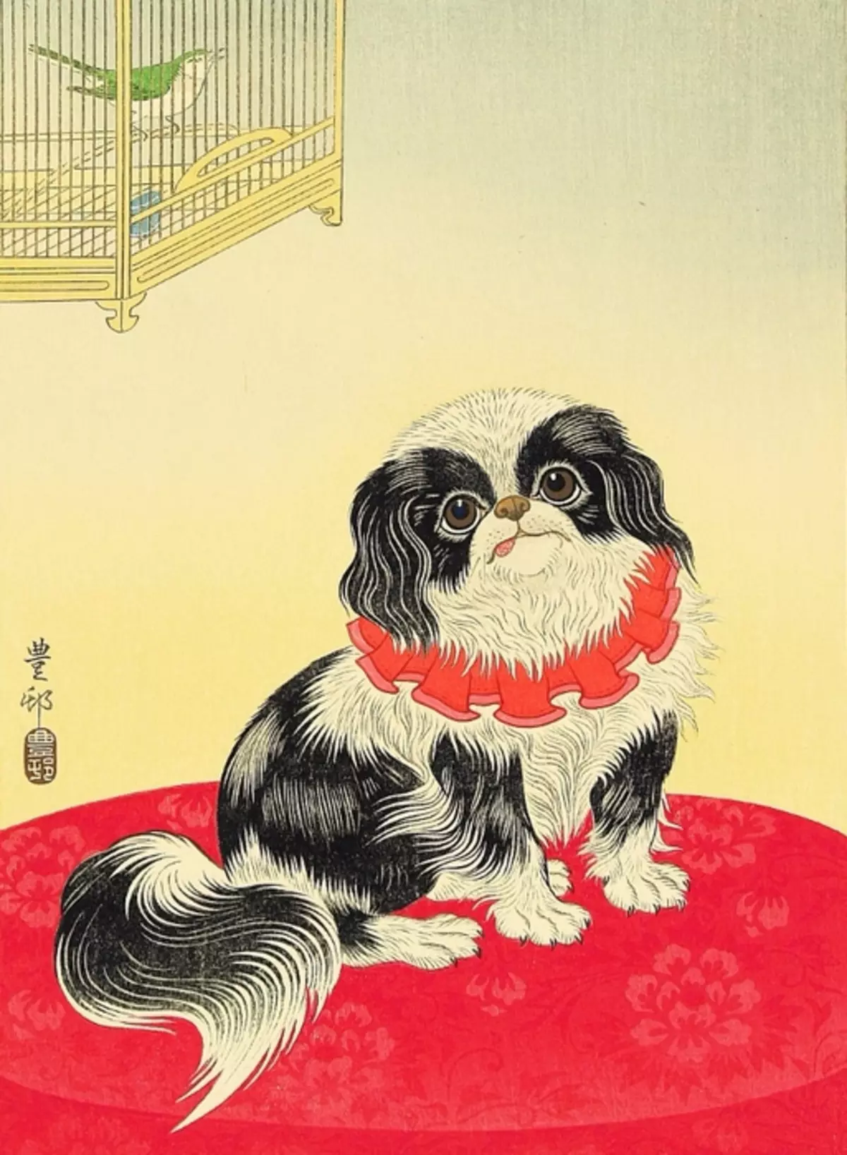 Royal Pekingese (23 fotók): A fajta leírása, a felnőtt kutya és a kiskutya ellátásának jellemzői 22843_7