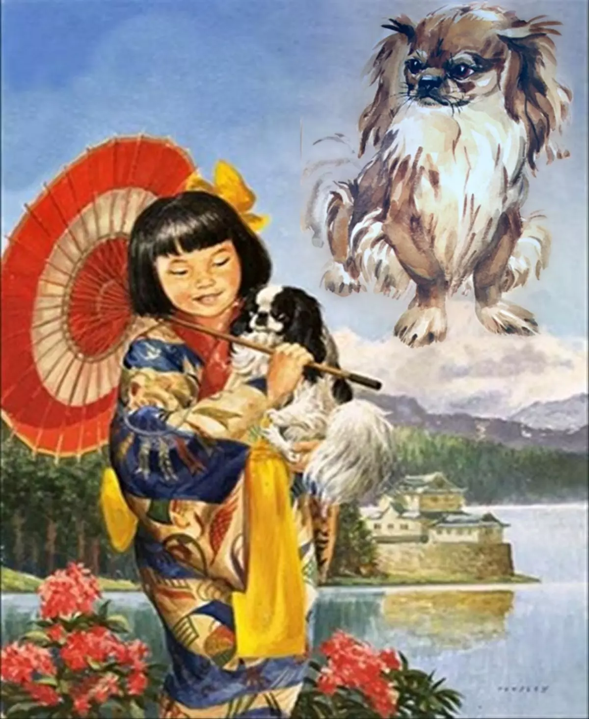 رويال Pekingese (23 صور): وصف سلالة، ميزات رعاية الكلب البالغ والجرو 22843_8