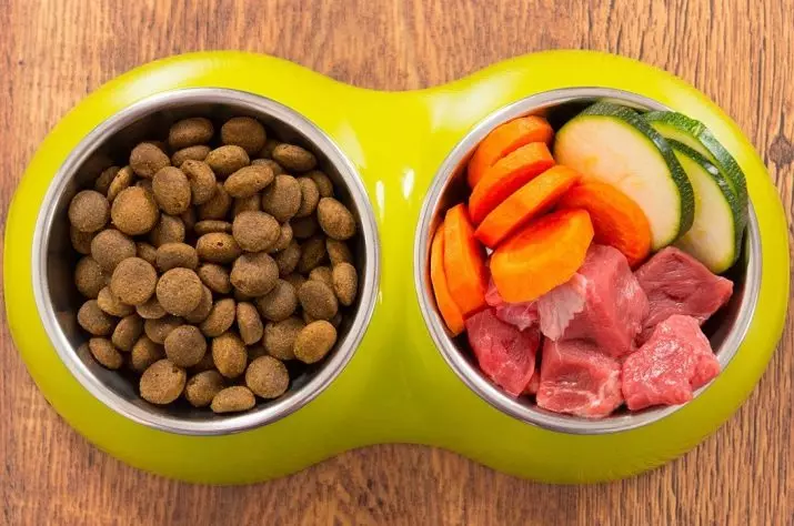 Como alimentar o único poodle? Regras de comida de cachorro. É possível alimentá-lo com comida seca? 22859_13
