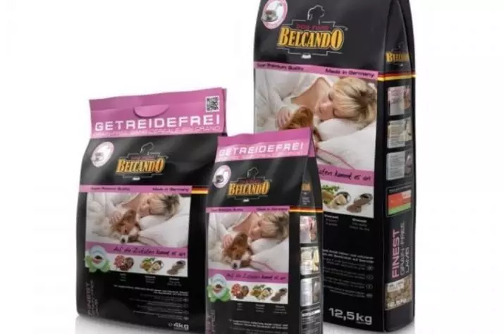 Food for Chihuahua: What is better to choose for puppies? Super Premium Class feed rating and other species. Dry and wet feed for dogs per day 22876_14
