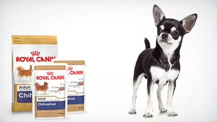 Food for Chihuahua: What is better to choose for puppies? Super Premium Class feed rating and other species. Dry and wet feed for dogs per day 22876_16