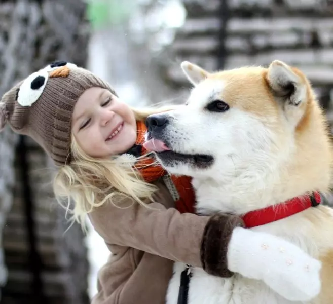 Kliknutí pro Akita Inu: zajímavá a krásná jména, která mohou být nazývána chlapci a dívkami 22915_13