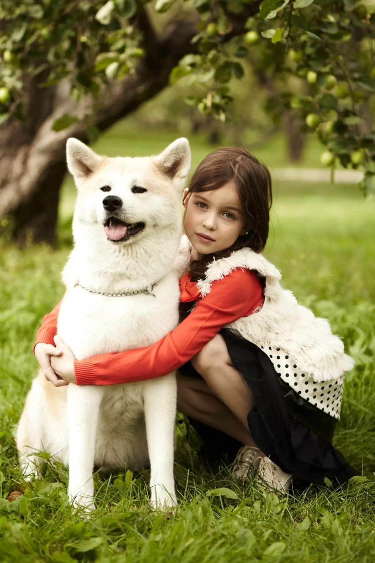 Kiliki mo Akita Inu: manaia ma matagofie igoa e mafai ona valaauina tama ma teine 22915_22