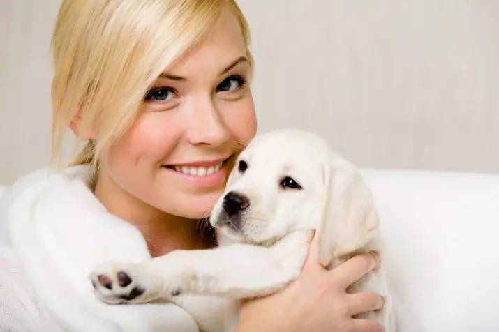 Labrador klik: nami anu éndah sareng asli anu tiasa disebut anjing. 22922_7