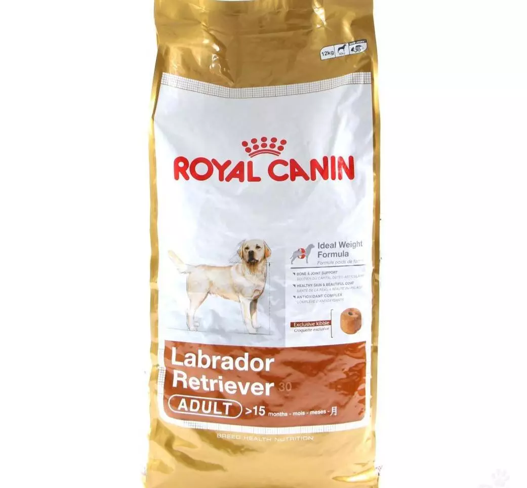 Feed for Labrador: che tipo di poppa è una migliore alimentazione dei cuccioli e dei cani adulti? Valutazione del feed di classe Super Premium e altre classi 22926_16