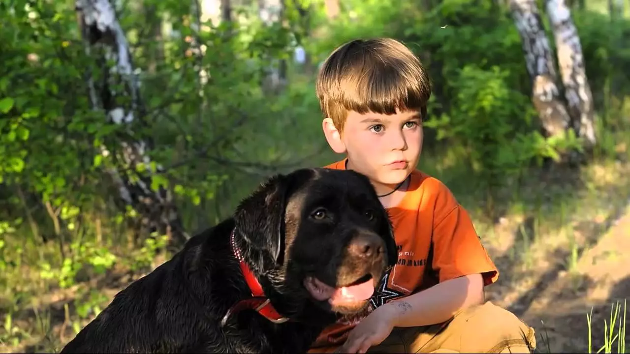 Μαύρο Labrador (43 φωτογραφίες): Χαρακτήρας των ενηλίκων σκύλων και κουταβιών, ψευδώνυμα για κορίτσια και αγόρια μαύρα, τρόφιμα και περιγραφή της φυλής 22940_9