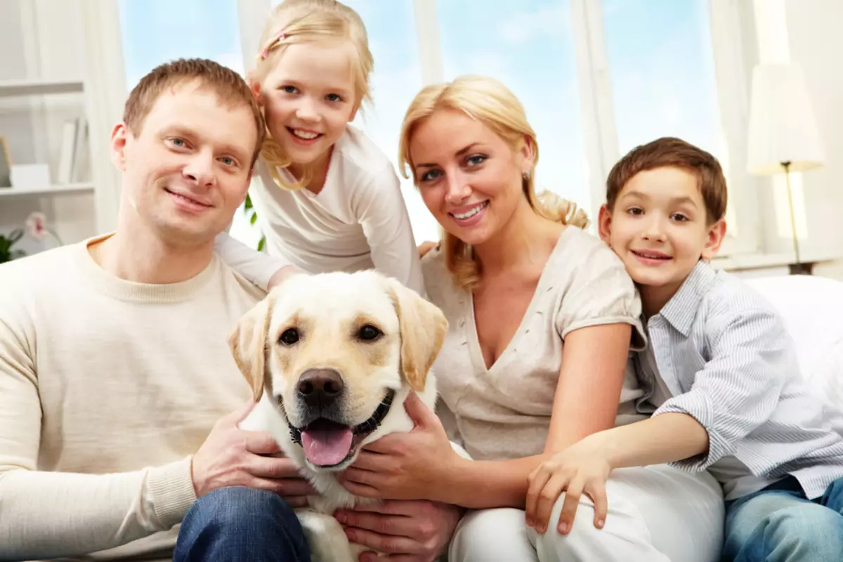 Îngrijirea pentru Labrador: Cum să ai grijă de un catelus acasă? Conținutul câinelui pe stradă și într-o casă privată. Este posibil să se conțină un câine în timpul iernii în aviare? 22941_3