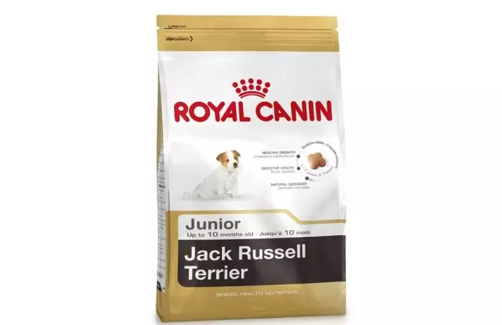 Mat för Jack Russell Terrier (12 bilder): Betyg av den bästa torra och våta matningen. Hur man väljer dem? 23035_8