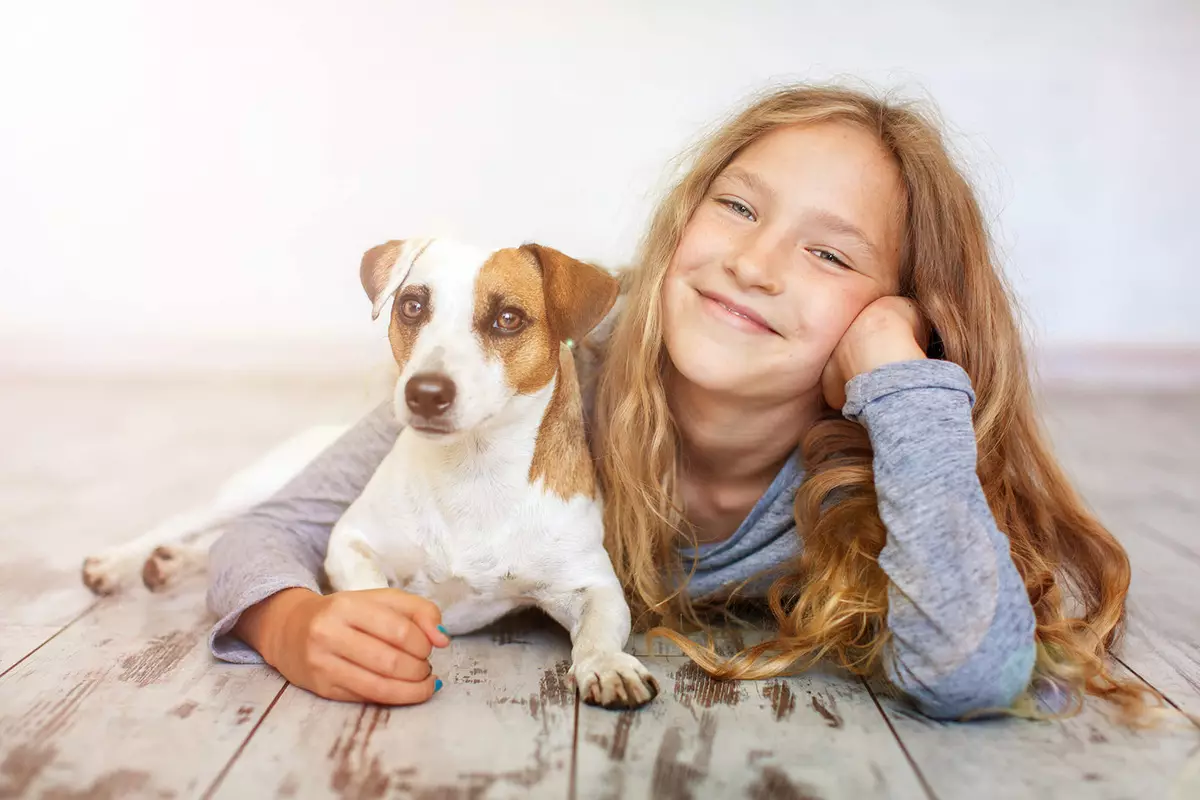 Jack Russell Terrier (66 photos): Description de la race, caractéristiques de la nature des chiens-filles et des garçons. Tailles et couleurs des chiots. Propriété Reviews 23037_28