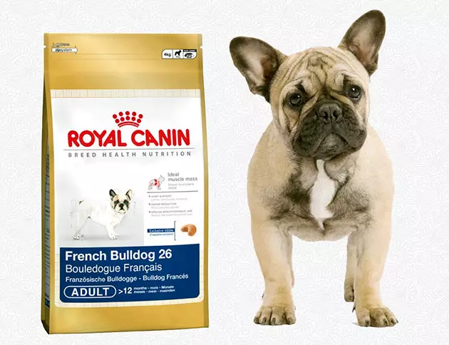 法國鬥牛犬的尺寸：小狗重量桌幾個月。體重的重量有多快？小狗應該在4個月內重量多少？ 23126_18