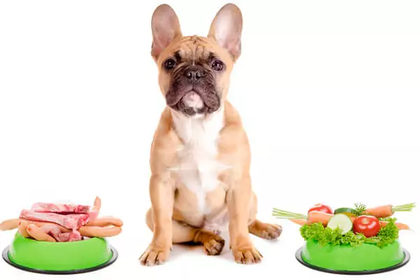 Dimensions of French bulldogs: Puppies Weight Table for months. How fast is the weight of body weight? How much should a puppy weigh in 4 months? 23126_22