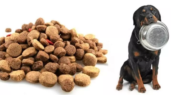 Gewig en groei van Rottweiler: Hoeveel volwasse honde weeg? Puppy groeistafel in die skof in maande. Middel- en maksimum gewig van Rottweiler 23164_20