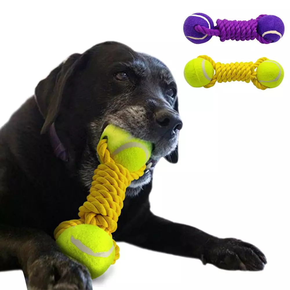 Köpekler için oyuncaklar kendin yapar (29 fotoğraf): Evde bir köpek yavrusu için eğitici oyuncaklar nasıl yapılır? Halattan ev yapımı akıllı oyuncaklar 23245_24