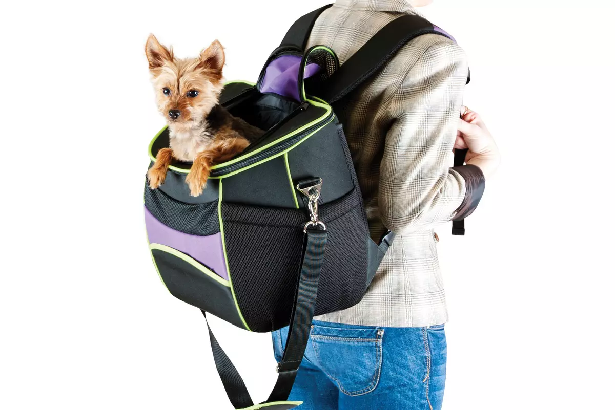 小さな岩の犬のためのバッグ運搬：カンガルー、バックパック、スリング、そして小さな犬のためのその他の種類のバッグ、選択のための推奨事項 23251_10
