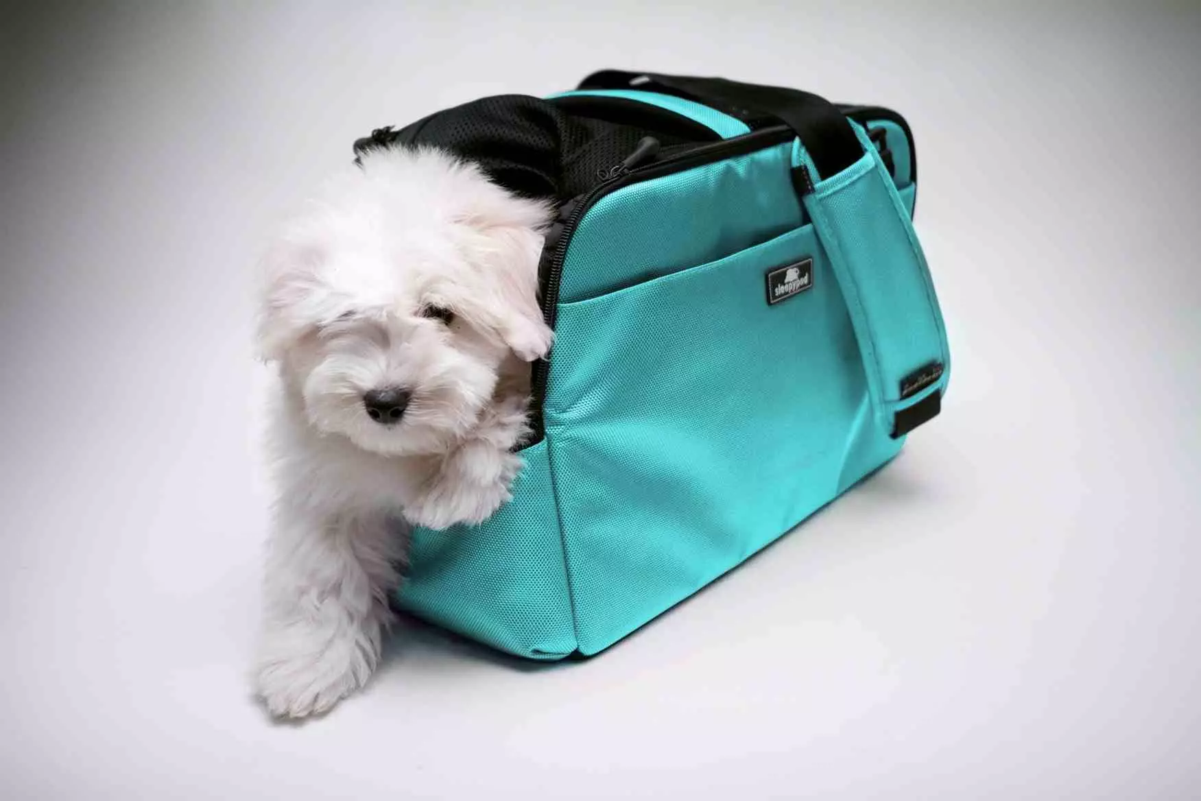 小さな岩の犬のためのバッグ運搬：カンガルー、バックパック、スリング、そして小さな犬のためのその他の種類のバッグ、選択のための推奨事項 23251_6