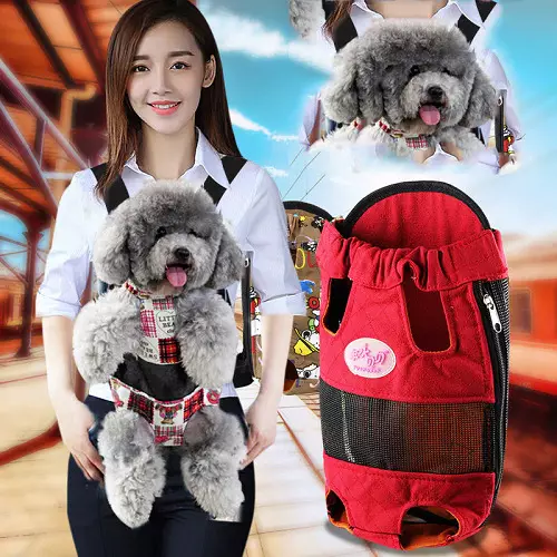 Noseći rubovi za pse (27 fotografija): priveze za pse malih i srednjih pasmina. Kako odabrati ruksak na leđima za prijevoz? 23252_10