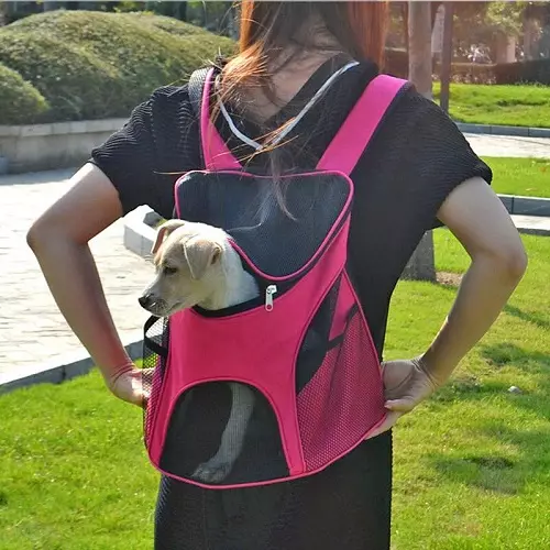 Noseći rubovi za pse (27 fotografija): priveze za pse malih i srednjih pasmina. Kako odabrati ruksak na leđima za prijevoz? 23252_16