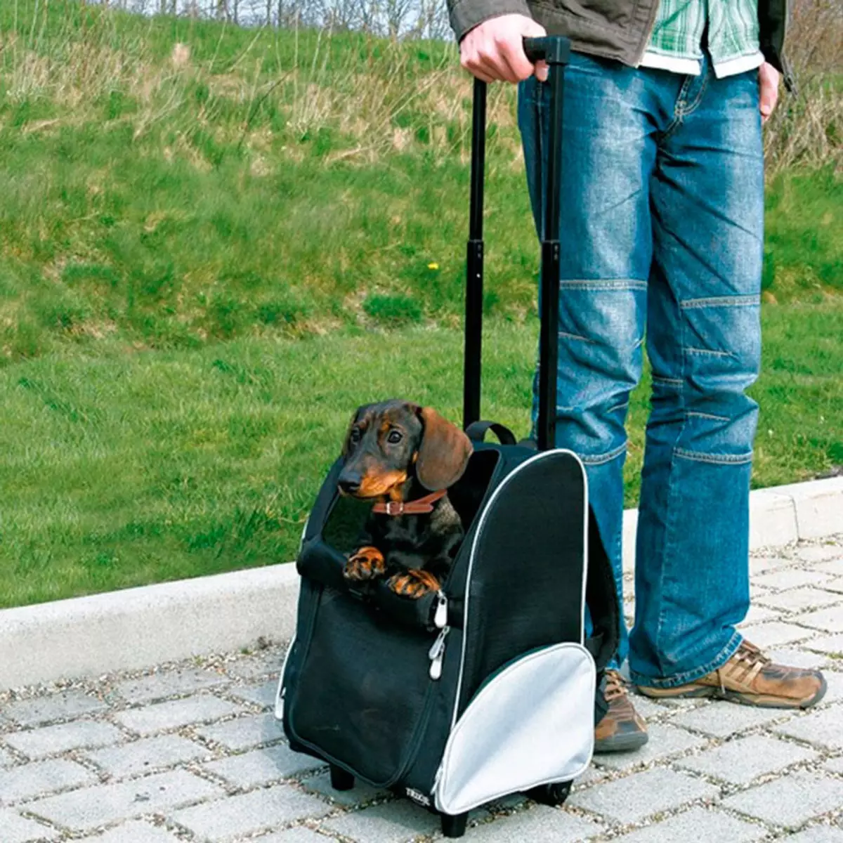 Noseći rubovi za pse (27 fotografija): priveze za pse malih i srednjih pasmina. Kako odabrati ruksak na leđima za prijevoz? 23252_19