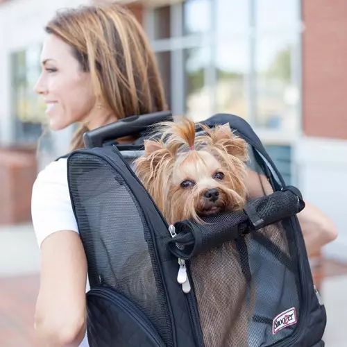 Noseći rubovi za pse (27 fotografija): priveze za pse malih i srednjih pasmina. Kako odabrati ruksak na leđima za prijevoz? 23252_4