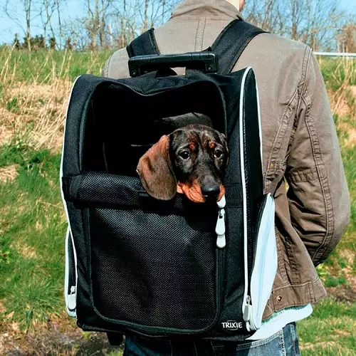 Noseći rubovi za pse (27 fotografija): priveze za pse malih i srednjih pasmina. Kako odabrati ruksak na leđima za prijevoz? 23252_5