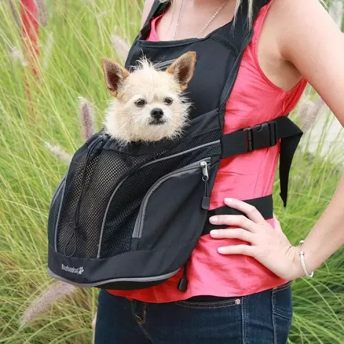 Noseći rubovi za pse (27 fotografija): priveze za pse malih i srednjih pasmina. Kako odabrati ruksak na leđima za prijevoz? 23252_6