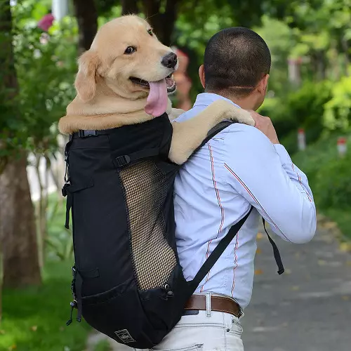 Noseći rubovi za pse (27 fotografija): priveze za pse malih i srednjih pasmina. Kako odabrati ruksak na leđima za prijevoz? 23252_7