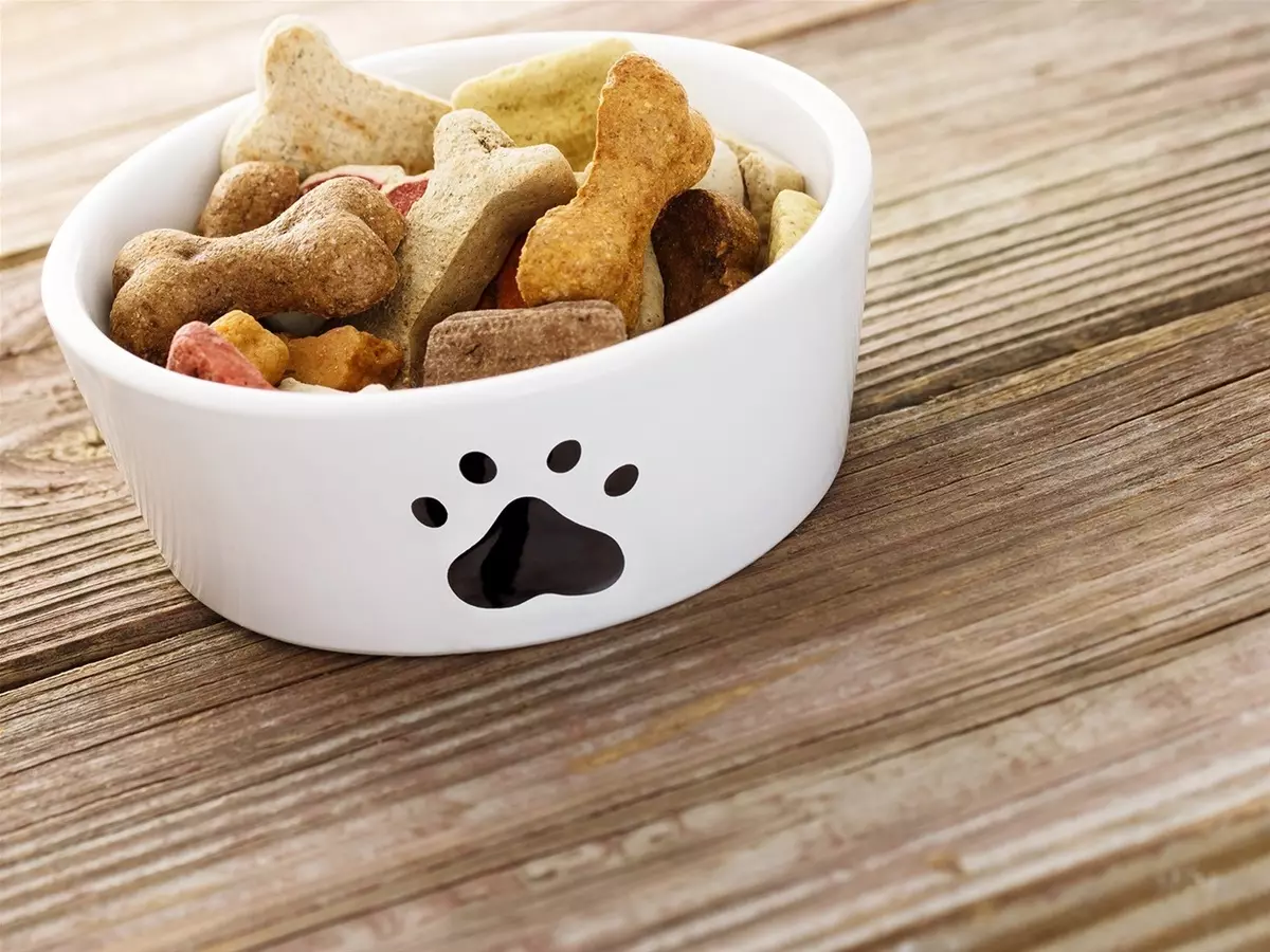 Bowls vir honde (34 foto's): Hoe om interaktiewe voeders en bakkies-onpoles, vou en dubbel-, keramiek- en metaalbakke vir groot honde en hondjies te kies? 23253_2