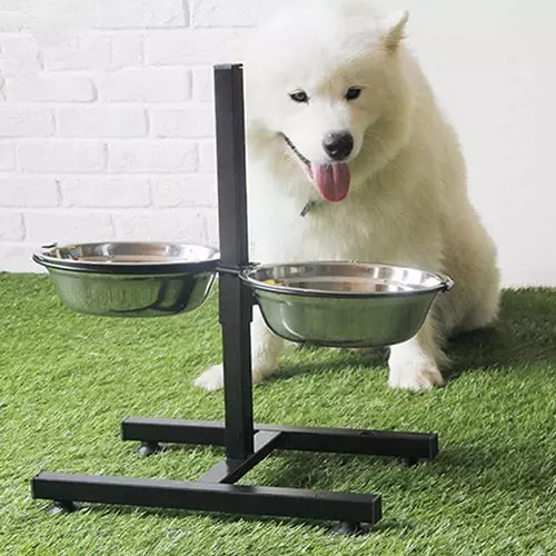Bowls untuk anjing (34 foto): Bagaimana untuk memilih pengumpan interaktif dan mangkuk-Unpoles, lipatan dan double, seramik dan mangkuk logam untuk anjing besar dan anak anjing? 23253_31