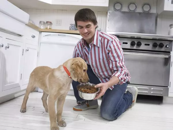 Чаши за кучиња (34 фотографии): Како да изберете интерактивни колибри и садови-неполози, преклопни и двокреветни, керамички и метални чинии за големи кучиња и кученца? 23253_4