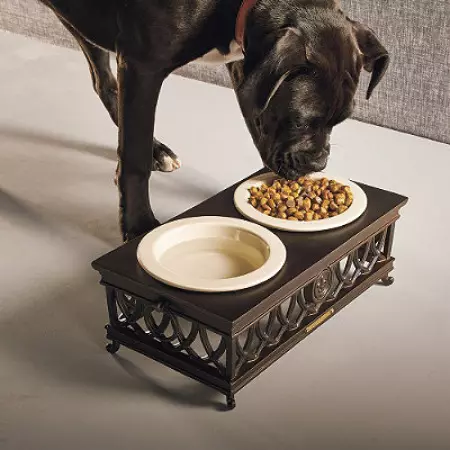 Чаши за кучиња (34 фотографии): Како да изберете интерактивни колибри и садови-неполози, преклопни и двокреветни, керамички и метални чинии за големи кучиња и кученца? 23253_8