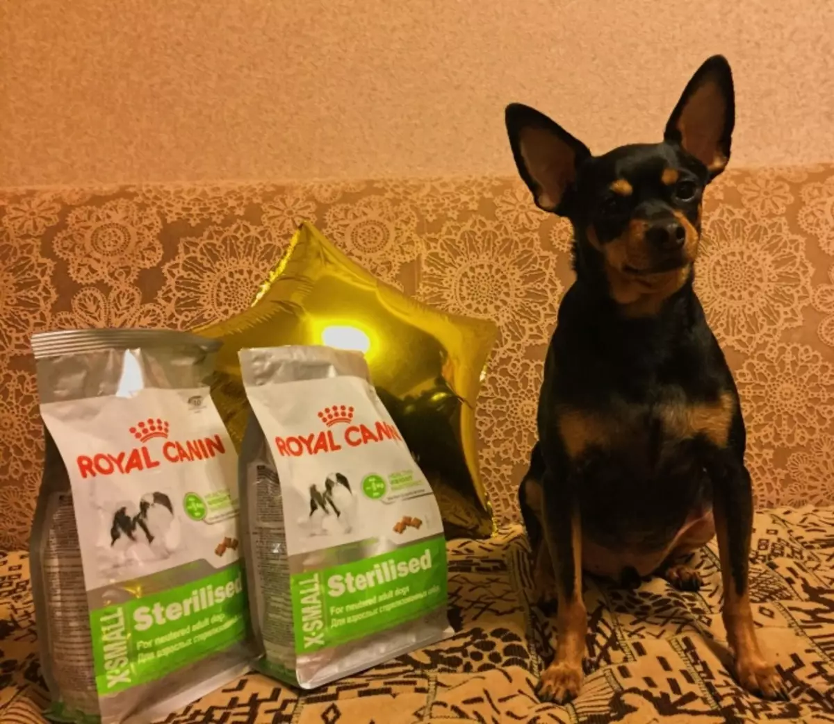 Royal Canin för steriliserade hundar: Feed Overview för neutererade och steriliserade hundar, recensioner 23261_14