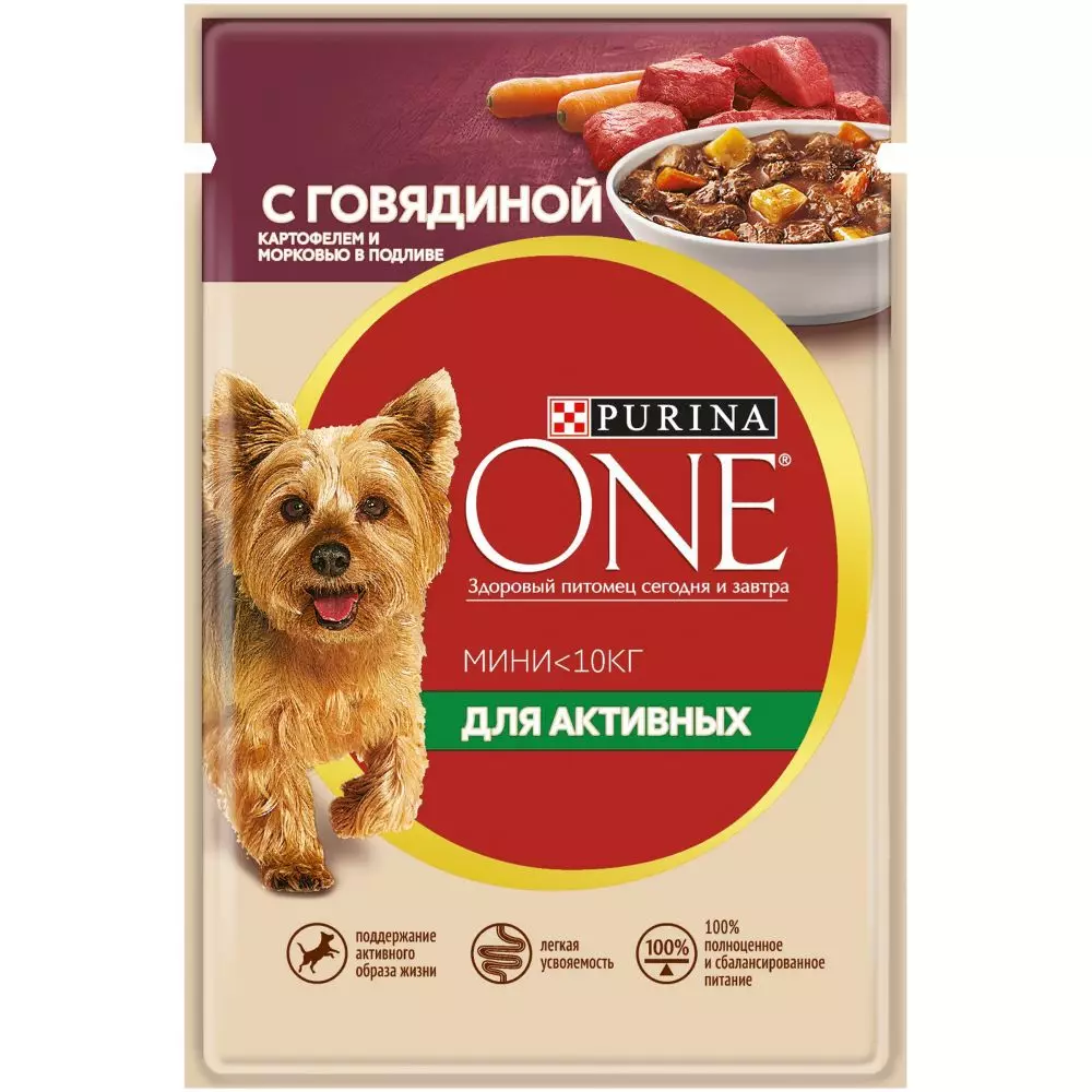 Purina alimentación para perros de razas pequeñas: alimentos secos y húmedos para perros pequeños, su descripción 23264_12