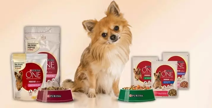 Purina pet food for dogs of small breeds: dry and wet pet food for small dogs, their description 23264_2