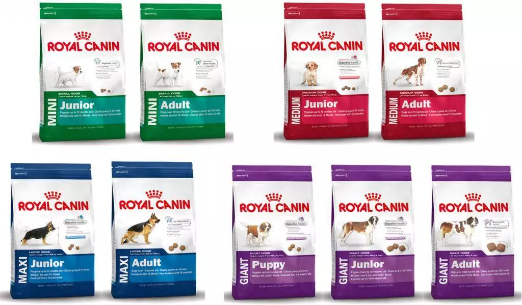 Cunnada qallalan ee eeyaha Royal Canin ee Royal Canin: Hacninta Minsi Dadka Waaweyn, Reel rf14 iyo quudinta kale, heerarka quudinta. Immisa cunto eey ah maalin kasta? 23267_4