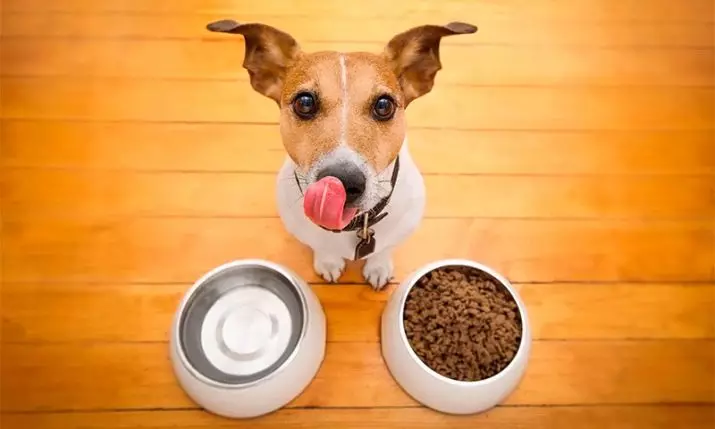Farmina кученца се хранят: за малки, големи и средни породи. Суха храна пратеник и мокро, тяхната дозировка. Храни с агнешко и други форми 23280_4