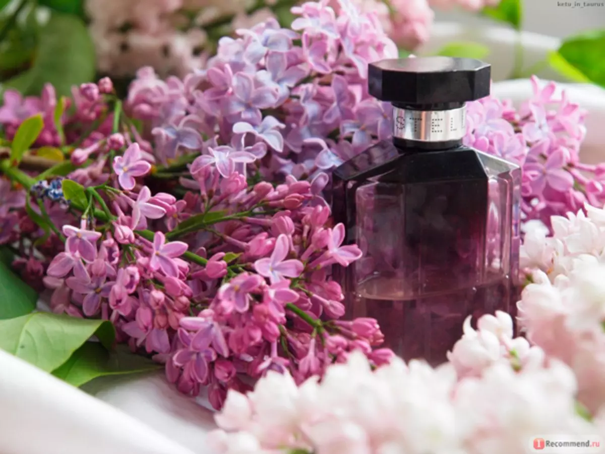 Žena parfumy: prehľad vôní pre ženy. Čo to je? Parfum a iné druhy, ich opis. Čo sa od seba líšia? Ľahké a ťažké duchoviny 23321_26