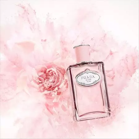 Parfumen mat rose Aroma (36 Fotoen): rosa Parfume an Toilette Waasser mat engem Geroch vu Rosen, Parfum fir Fraen a Männer, Beschreiwung 23346_26