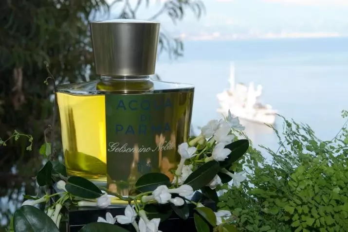 Minyak wangi dengan Jasmine Fragrance: minyak wangi, air tandas untuk wanita, nama aroma, bagaimana untuk menggunakannya 23357_2
