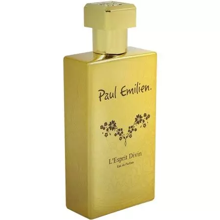 Ladan в парфюмерията: парфюм и превръзка вода с миризмата на тамян в женски и мъжки парфюми, мирис ефект 23412_11