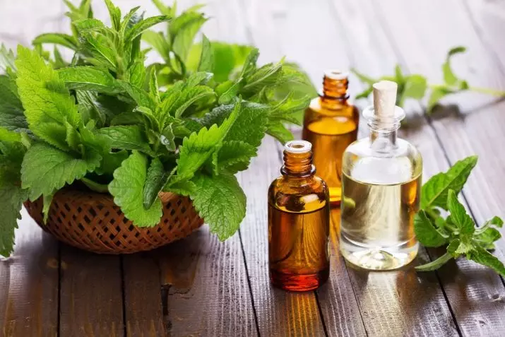 ሽቶ ውስጥ Patchouli: Patchouli መካከል ከናርዶስ ሽቱ አፈርህ ምን? patchouli ሽታ ጋር እና ለማን ነው ይስማማል ወደ ሴት ሽቱ ንብረቶች 23429_4