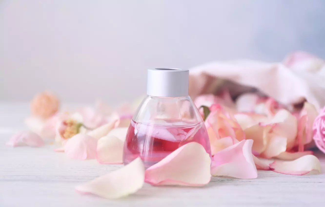 Кожени аромати: спиртни напитки с миризма на кожата за жени и мъже, как да изберем парфюм с бележки за кожа и дърво 23436_13