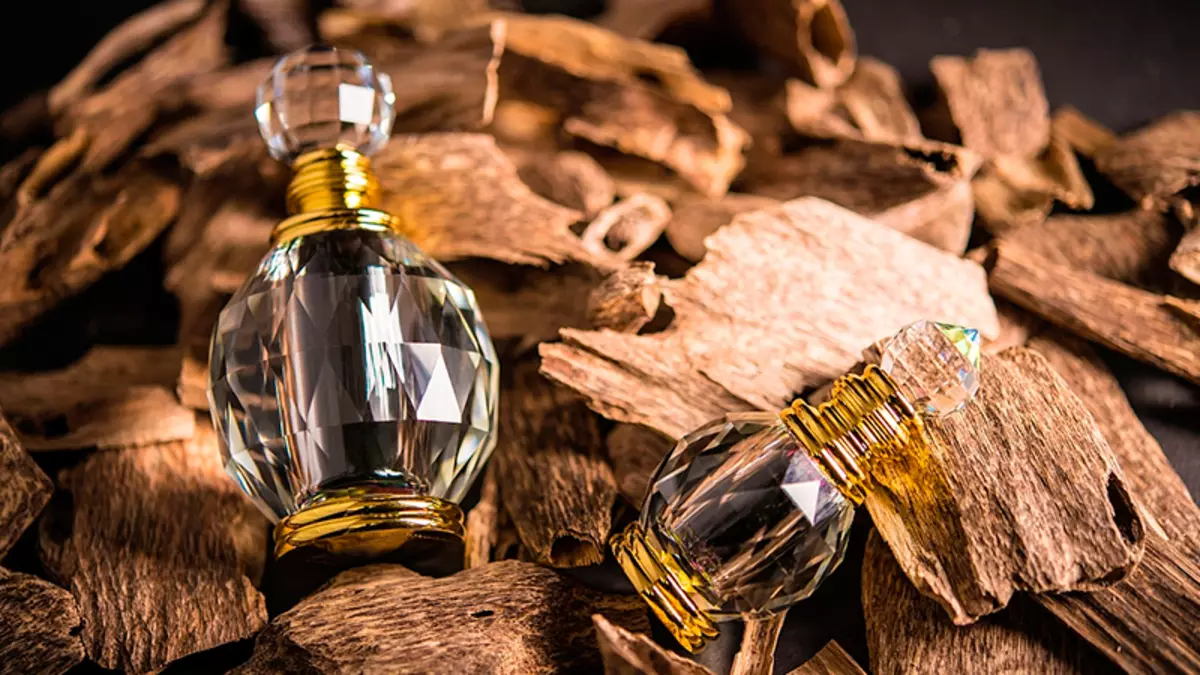 Aroma Kulit: Spirits dengan bau kulit untuk wanita dan lelaki, bagaimana untuk memilih minyak wangi dengan nota kulit dan kayu 23436_9