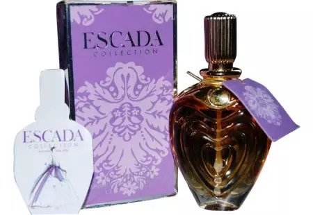Vlak parfumy pre ženy: najnežnejšej duchmi so slučkou, poradie najlepších francúzskych a iné príchuti, recenzie 23446_15