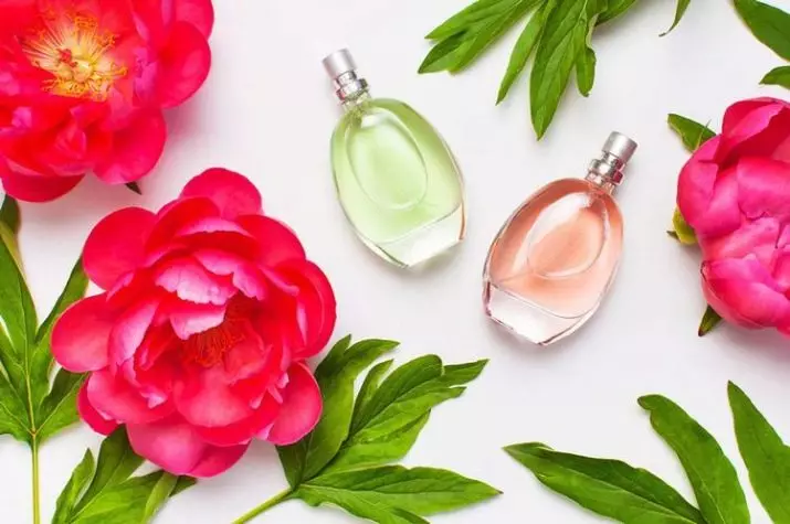 Vlak parfumy pre ženy: najnežnejšej duchmi so slučkou, poradie najlepších francúzskych a iné príchuti, recenzie 23446_28