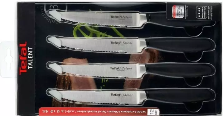 Knives Tefal: Kacida knives dapur, panjelasan kaahlian sareng séri sanés. Ulasan pelanggan 23462_10