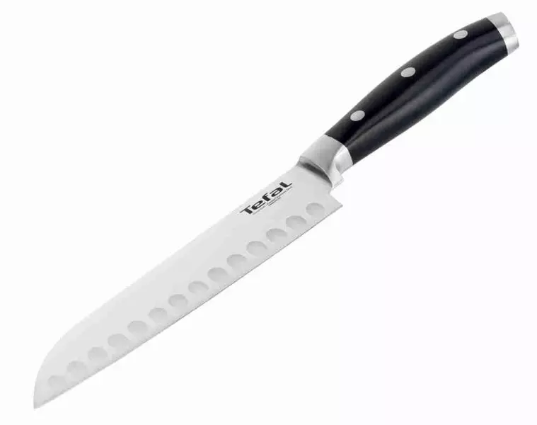 Knives Tefal: Kacida knives dapur, panjelasan kaahlian sareng séri sanés. Ulasan pelanggan 23462_11